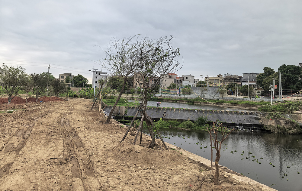6 建设前的河堤步道.jpg